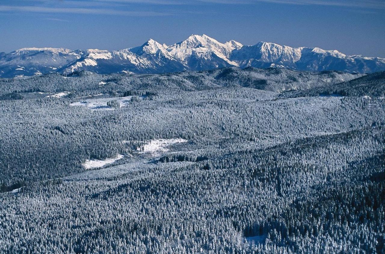 Digital Detox Chalet Pokljuka Goreljek Eksteriør billede